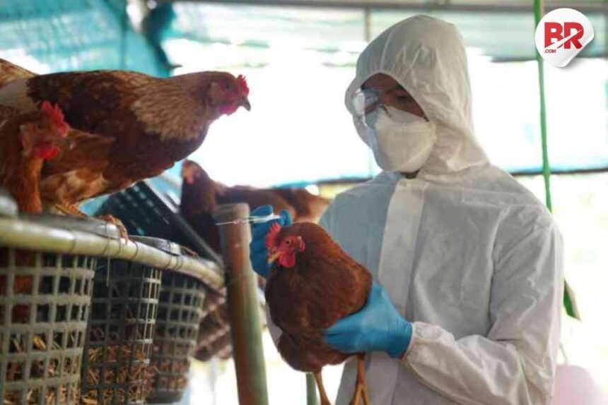 Public apathy may fuel bird flu spread in the u. S.