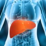 Everything a gastroenterologist does in the morning to keep his liver healthy
