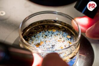 Microplastics in ovaries: a threat to women’s fertility