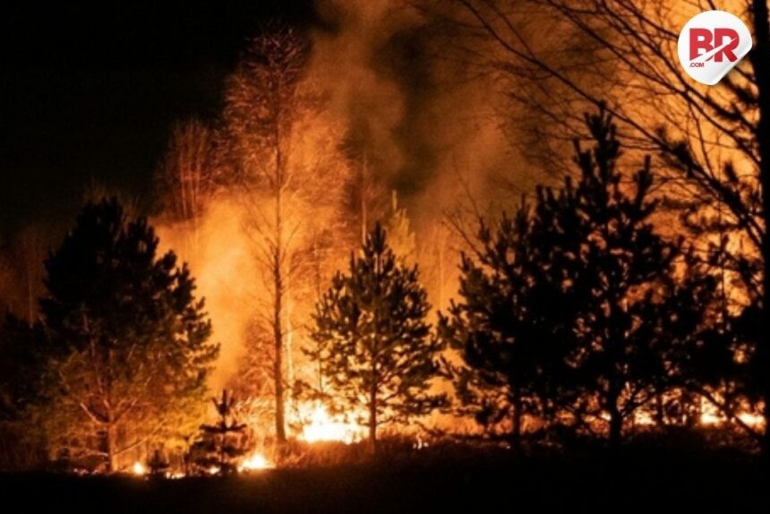 New jersey wildfire grows to 1,200 acres: evacuations and road closures in ocean county