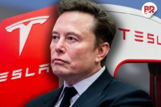 Tesla india launch