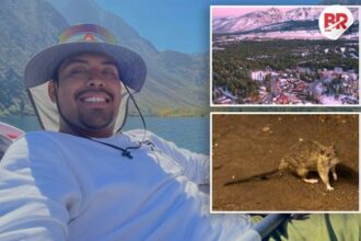 26-year-old us man dies from rare hantavirus linked to rodents"