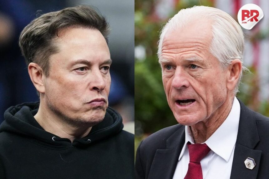 Elon musk and peter navarro trade spat over us tariff policy