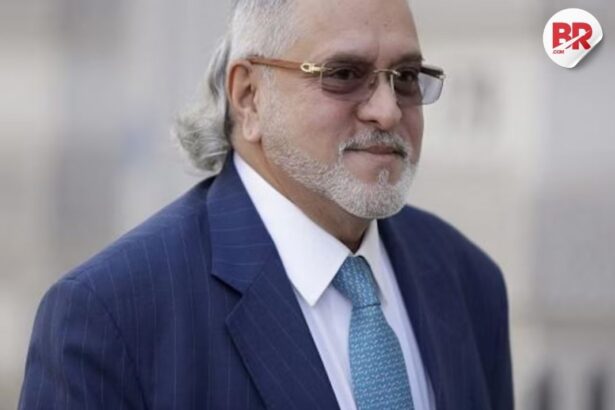 Vijay mallya bankruptcy appeal rejected
