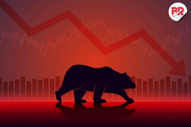 Tesla's top bull