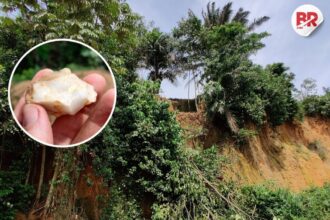150,000-year-old tools in africa's rainforest rewrite history