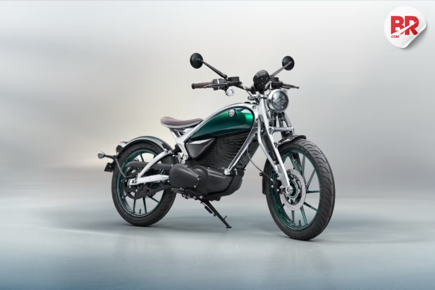 Flying flea c6 e-bike