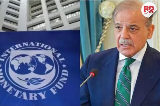 Imf