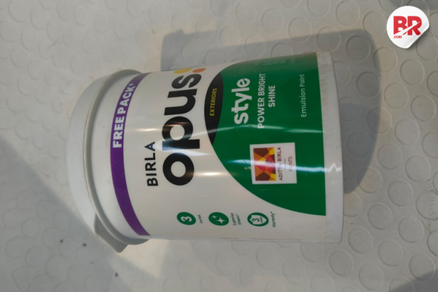 Asian paints