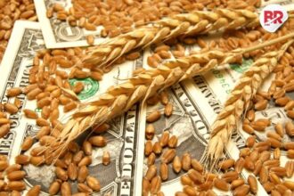 Chicago soybeans and wheat prices rise on trade deal hopes and us-china talks