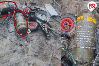 India down pakistani drones"