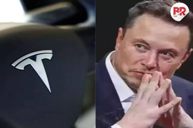 Denmark firm drops tesla over elon musk’s politics