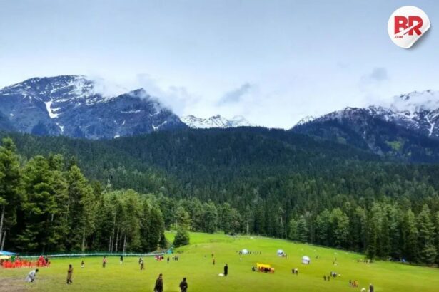 Tourism in kashmir plummets after deadly attack and tensions