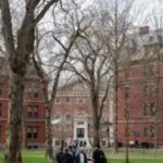 Trump visa ban: impact on harvard & international students