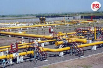Gspl q4 fy25 profit drops 73%, revenue halves to ₹238 cr