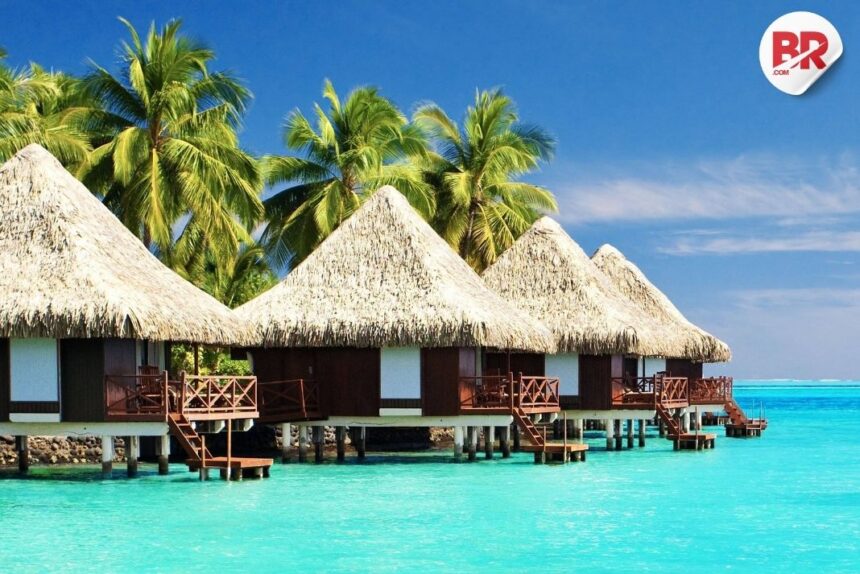 Boycott maldives impact on tourism