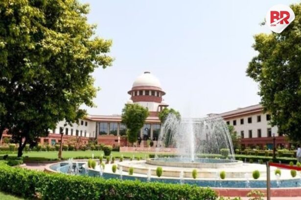 Meet the 3 new supreme court judges sworn in today