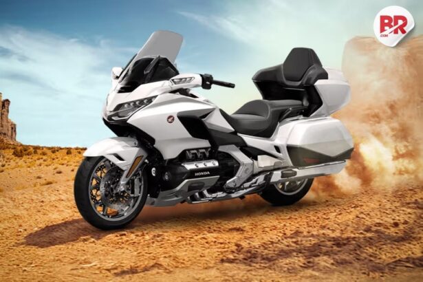 2025 honda gold wing tour 50th anniversary launched