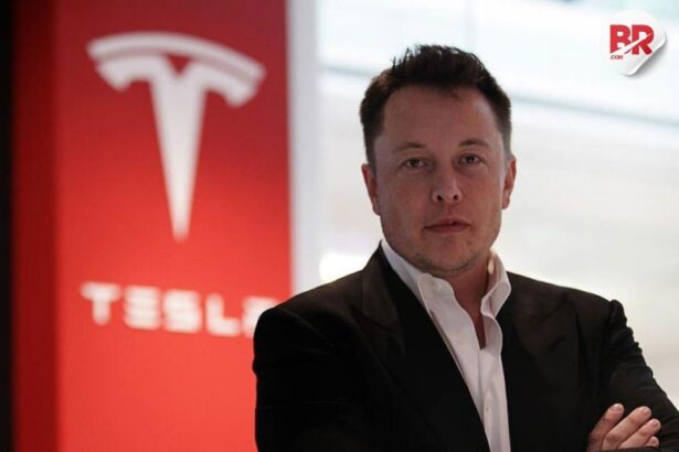 Tesla's dilemma: can it succeed without elon musk?