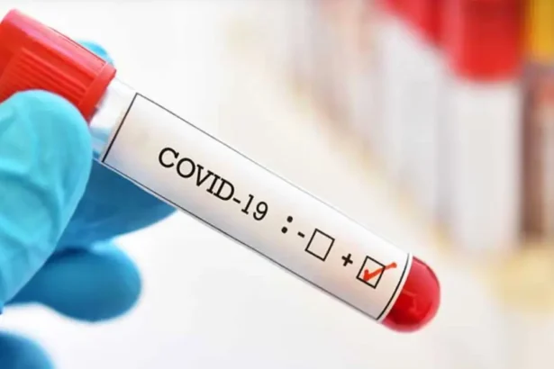 Covid coronavirus 1748090639815 16 9