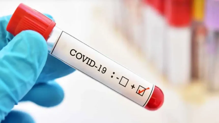 Covid coronavirus 1748090639815 16 9