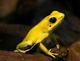 Images 51