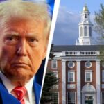 This aggressive escalation from the trump administration means more than 6 000 international student 231531368 16x9 1