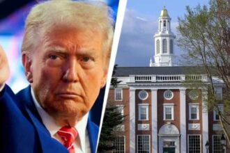 This aggressive escalation from the trump administration means more than 6 000 international student 231531368 16x9 1