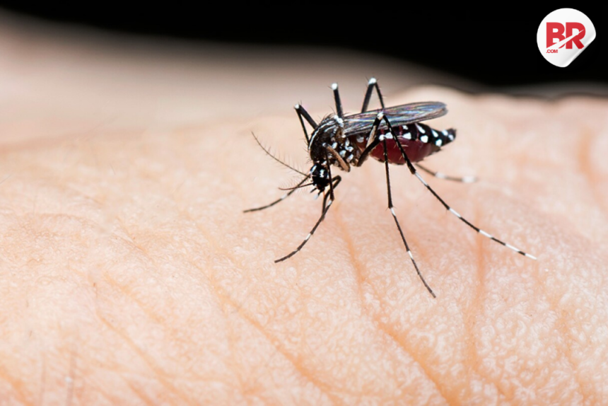'united against dengue' initiative launched to strengthen asia's health response 1 Copy of image 2025 06 12t143852. 828