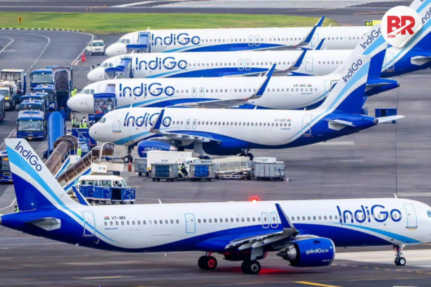 Indigo flight