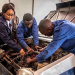 Township mechanics