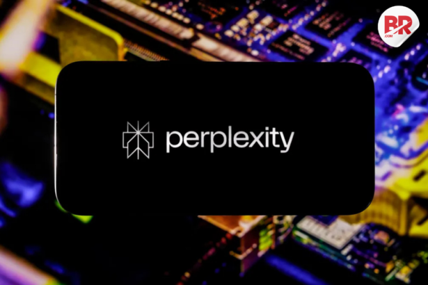 Perplexity