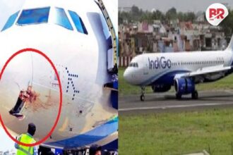 Indigo flight hits a vulture and makes emergency landing in ranchi