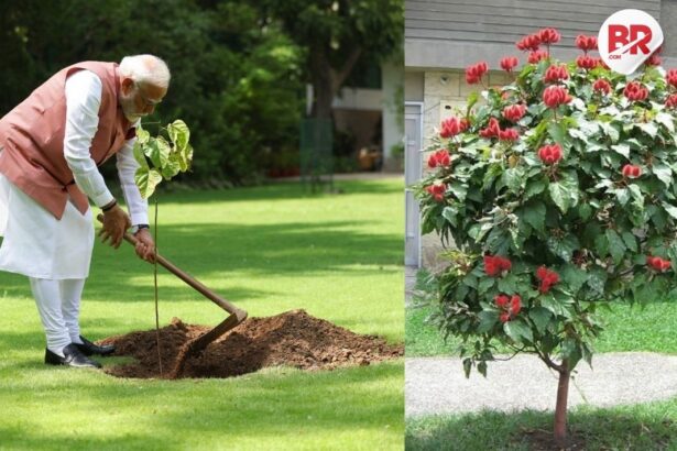 Website image 2025 06 05t195845. 998