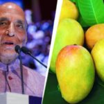 Rajnath aam: mango named after defence minister rajnath singh
