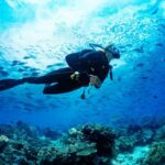 Indian engineer, 29, dies while scuba diving in dubai