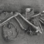 Bronze age grave reveals life changes in 1500 bc europe