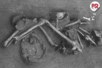 Bronze age grave reveals life changes in 1500 bc europe