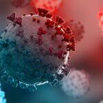 India’s active covid cases near 6,500; new xfg variant found