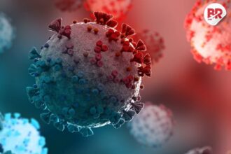 India’s active covid cases near 6,500; new xfg variant found