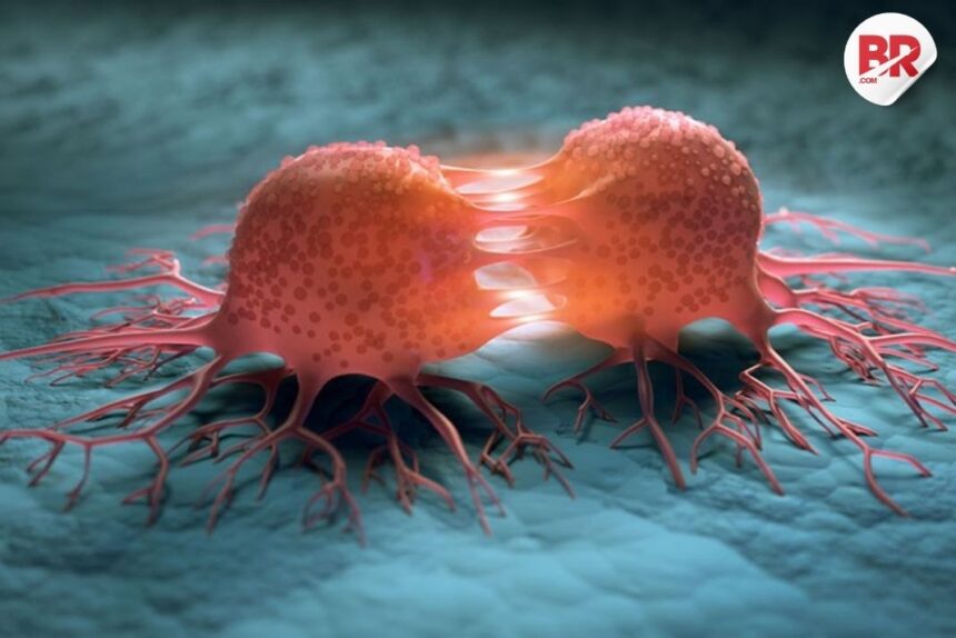 Top cancers in indian men