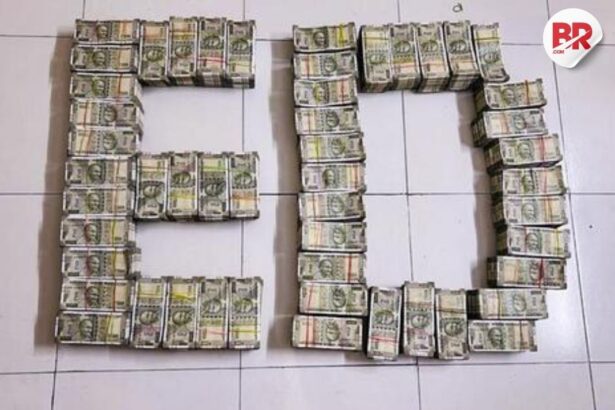 Ed restores ₹52 cr assets in shakti bhog money laundering case