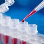 Universal artificial blood japan