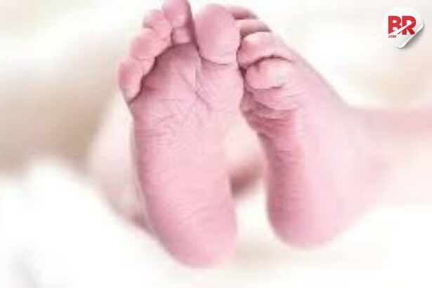 Website image 2025 06 30t182502. 538