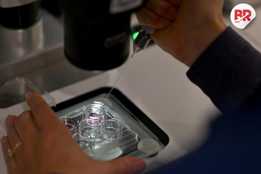 Ai fertility