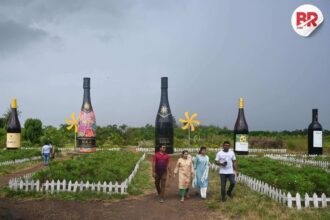 Sula vineyards
