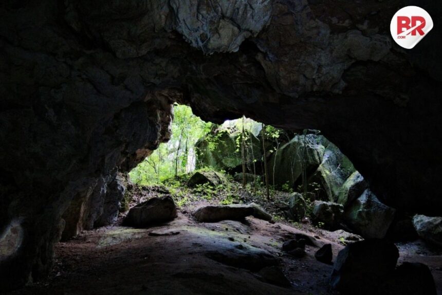 Spiritual seeker from russia living in forest cave with kids rescued by police in uttara kannada, karnataka 1 Website image 2025 07 12t191022. 757