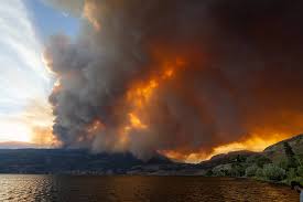 Images 72